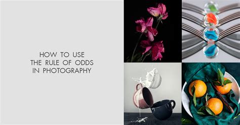 photography rule of odds|Rule of Odds: What Is It, and How Can It Enhance Your .